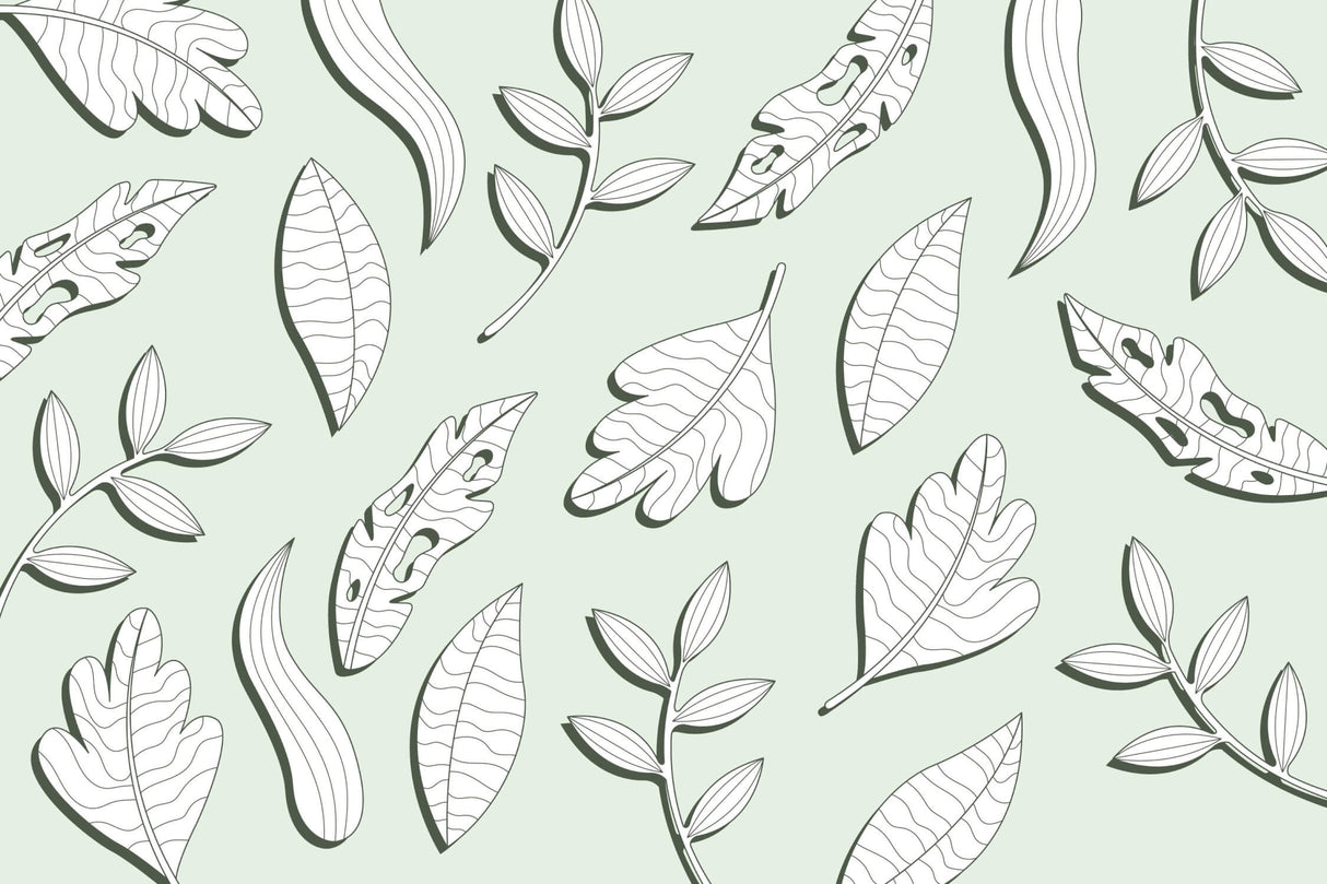 Botanical line art leaf design file showing detailed black outlines on mint green background