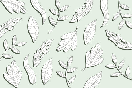 Botanical line art leaf design file showing detailed black outlines on mint green background