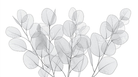Transparent eucalyptus leaves design file showing delicate gray botanical pattern on white background