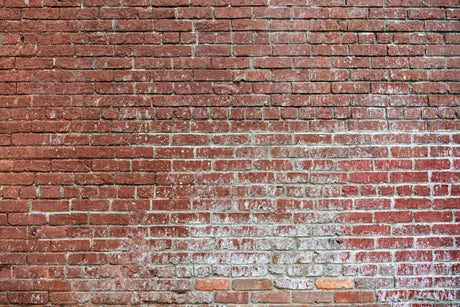 Red brick wallpaper design file showing detailed texture and weathered finish pattern