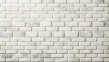 White brick wall pattern design file showing detailed texture and dimensional effects