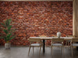 Brick effect wallpaper creating warmth in modern living room with grey sofa and plants