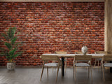 Brick effect wallpaper creating warmth in modern living room with grey sofa and plants