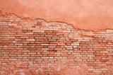 Design file showing detailed terracotta brick pattern and texture