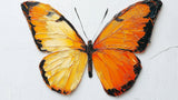 Orange Butterfly Wall Mural design file showing detailed 3D textured pattern with rich color gradients