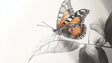 Butterfly Mural Wallpaper creating a peaceful atmosphere in a modern living room with grey and orange accents
