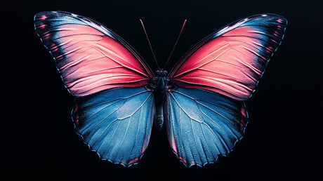 Butterfly wallpaper design file showing detailed wing patterns in vibrant pink and electric blue