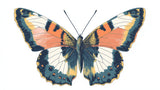 Butterfly Wall Mural design file showing detailed wing pattern and color palette