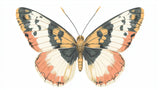 Large scale butterfly wallpaper design file showing detailed wing patterns in terracotta and grey