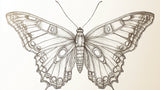 Butterfly line art wallpaper design file showing intricate black and white illustration pattern