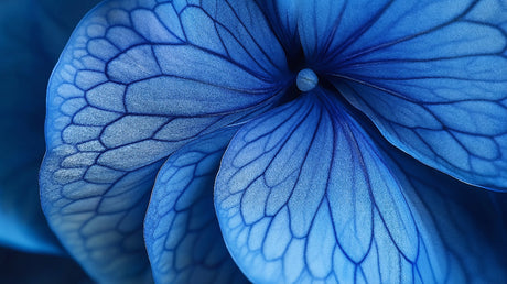 Blue butterfly wing pattern design file showing intricate macro wing details