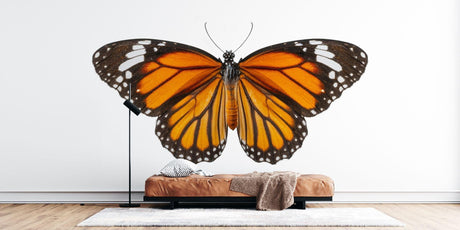 Beautiful Butterfly Wall Mural creates a peaceful atmosphere in a bright modern living room with natural light