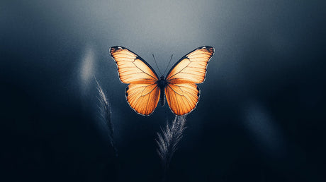 Orange Monarch butterfly design file with intricate wing patterns on deep navy background