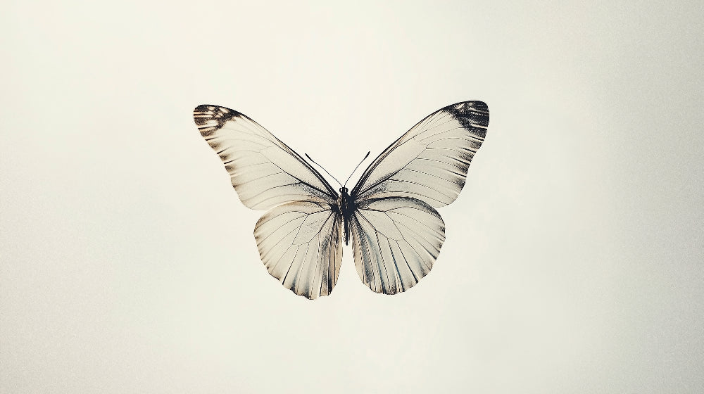 Monochrome Butterfly Wallpaper design file showing intricate wing patterns in beige and black tones