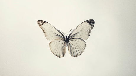 Monochrome Butterfly Wallpaper design file showing intricate wing patterns in beige and black tones