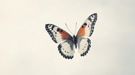 Orange butterfly wallpaper design file showing intricate wing pattern and monochrome details