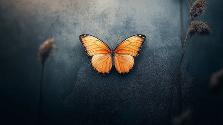 Orange Monarch Butterfly design file with intricate wing details on deep blue background