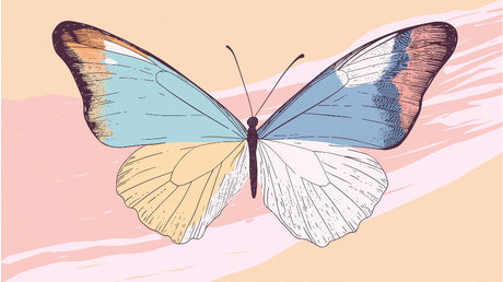 Butterfly art design file showing detailed wings and soft color palette