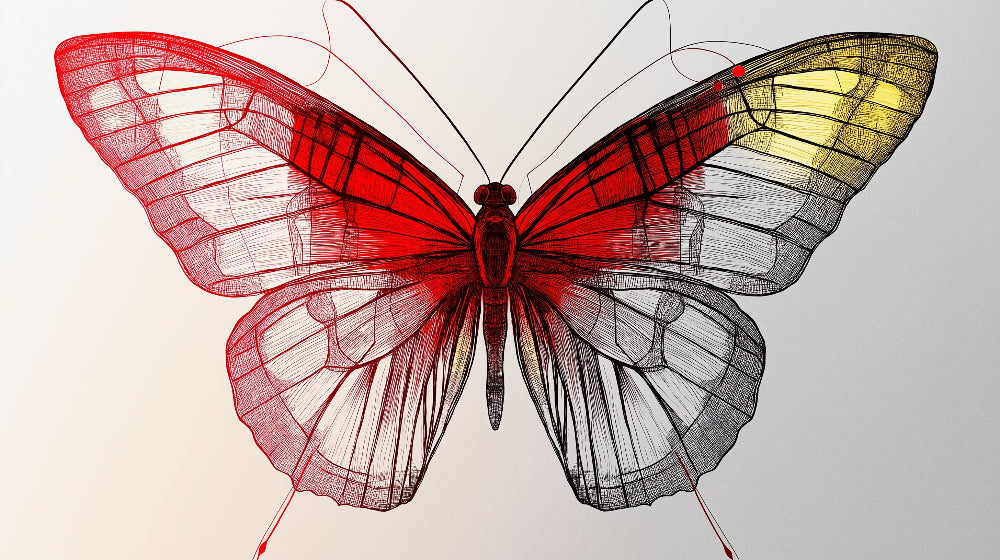Red Linear Butterfly wallpaper design file showing intricate line work pattern