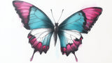 Butterfly wallpaper design file showing detailed turquoise and pink wing pattern on white background