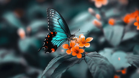 Turquoise butterfly wallpaper design file showing detailed wing patterns and orange blooms