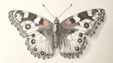 Monochrome butterfly design file showing detailed vintage illustration pattern
