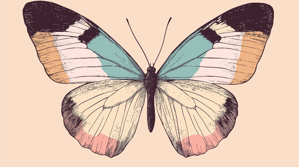 Vintage butterfly illustration design file showing delicate pastel wing patterns and artistic details