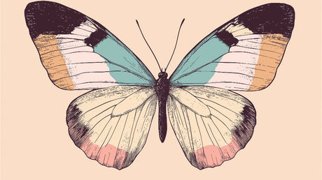 Vintage butterfly illustration design file showing delicate pastel wing patterns and artistic details