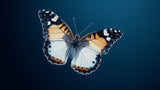 Butterfly design file showing detailed white and orange wing pattern on navy background