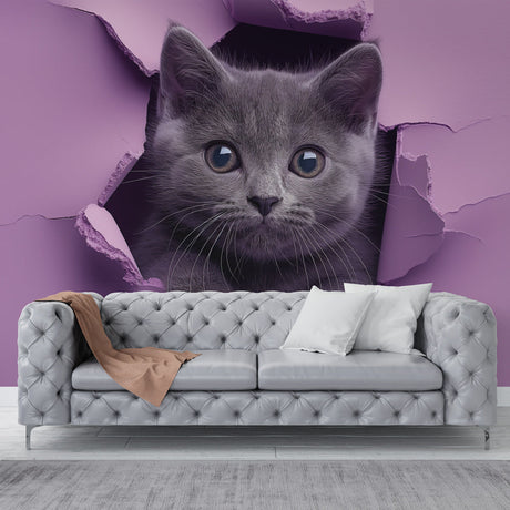 3D Cat Wallpaper creating a stunning optical illusion in a modern living room, grey kitten breaking through purple wall