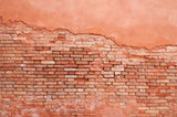 Brick Mural Wallpaper | Terracotta Industrial Design