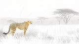 African savanna wallpaper design file showing detailed cheetah against misty plains backdrop