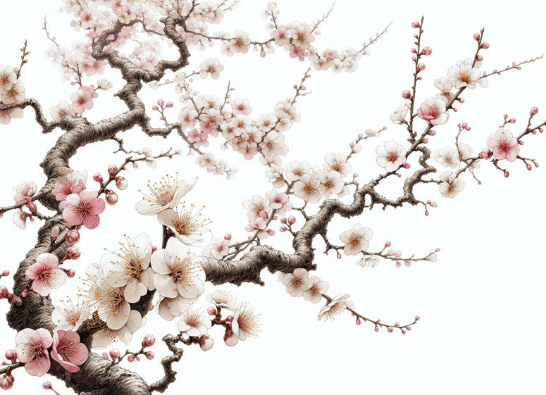Japanese cherry blossom design file showing delicate pink petals and brown branches on white background