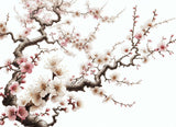 Japanese cherry blossom design file showing delicate pink petals and brown branches on white background
