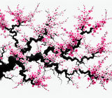 Japanese cherry blossom pattern with black branches and pink blooms on white background design file