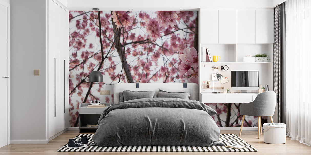 Cherry blossom wallpaper in a bright modern bedroom, pink sakura flowers creating a peaceful sleeping space