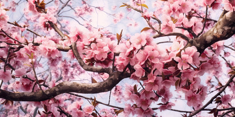 Cherry blossom wallpaper design file showing detailed pink sakura branches and petals pattern