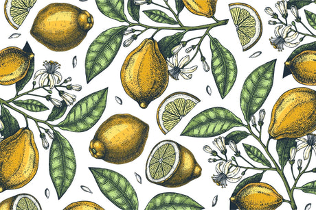 Design file showing detailed vintage lemon and blossom pattern on white background