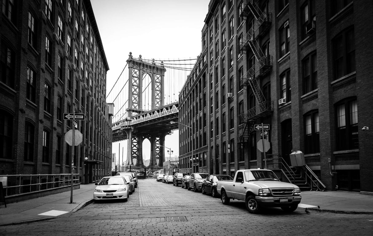 Manhattan Bridge black and white design file showing full mural pattern