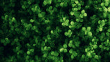 Vibrant green clover pattern design file showing detailed botanical leaf arrangement