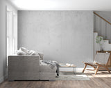 Modern grey concrete wallpaper installation in stylish home entrance