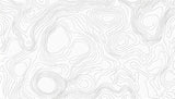 Topographic Mural Wallpaper | Modern Line Art Pattern