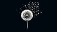 Black and white dandelion wallpaper creating drama in a modern dining room with minimalist furniture