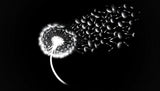 Black and white botanical dandelion design file showing intricate seed detail pattern