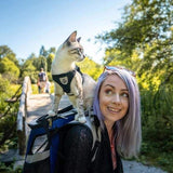Reflective Cat Harness Set  Safety Mesh Design With Night Visibility - Product example