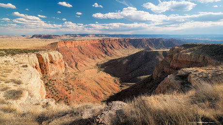 Desert canyon wallpaper design file showing full panoramic red rock formation pattern
