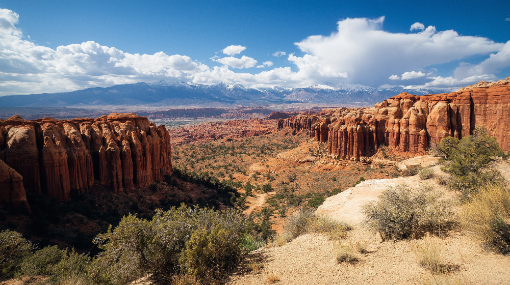 Desert Mountain Wallpaper design file showing detailed red rock canyon panorama and natural colors