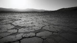 Desert landscape wallpaper design file showing detailed cracked earth pattern in striking monochrome