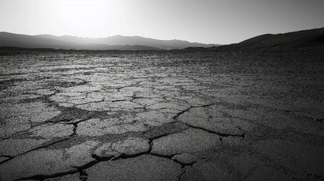 Desert landscape wallpaper design file showing detailed cracked earth pattern in striking monochrome