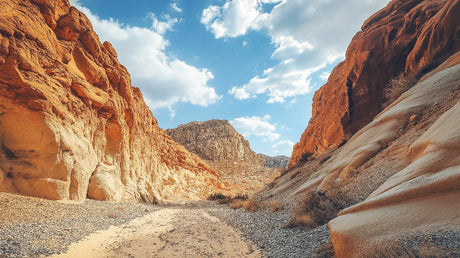 Desert canyon wallpaper design file showing detailed rock formations and natural textures